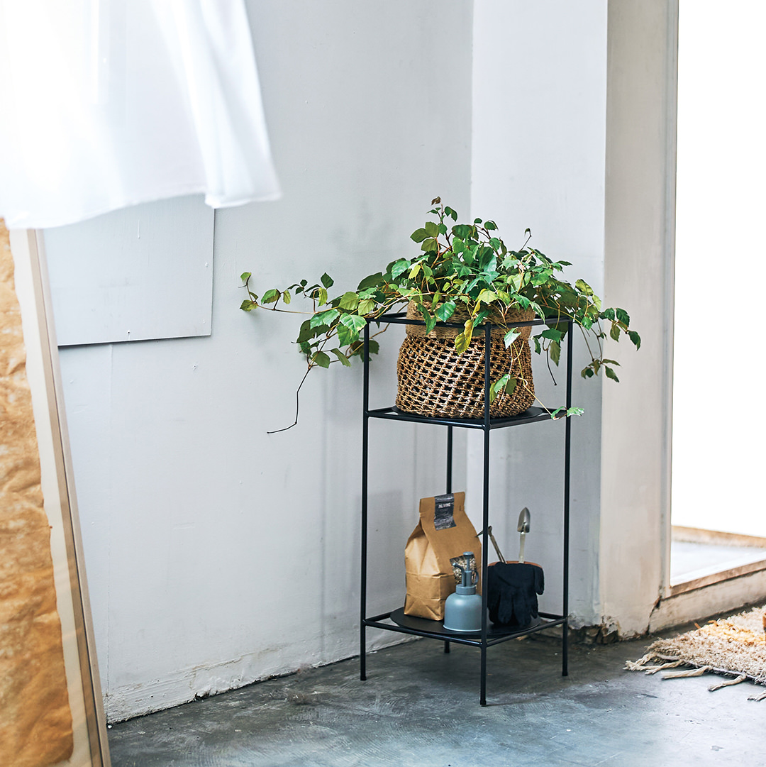 Antenna Plants Rack Ssize