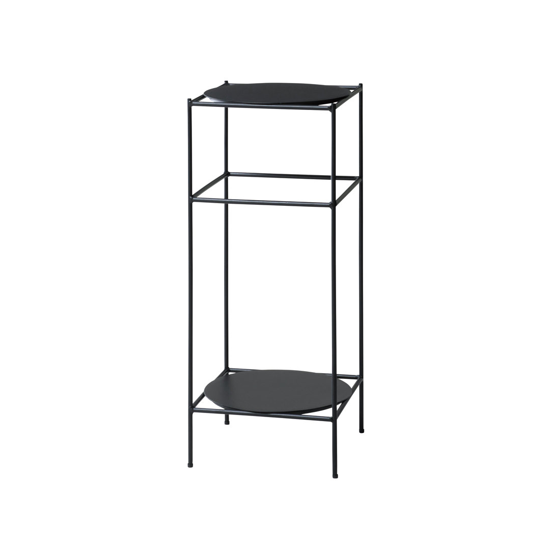 Antenna Plants Rack Ssize